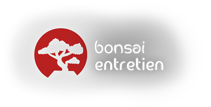 logo bonsai entretien