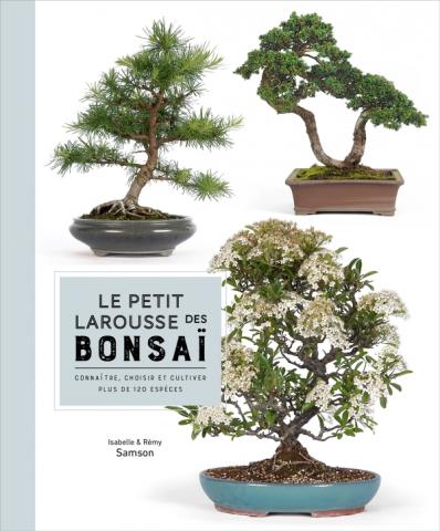 10 outils bonsai indispensables pour l'entretien