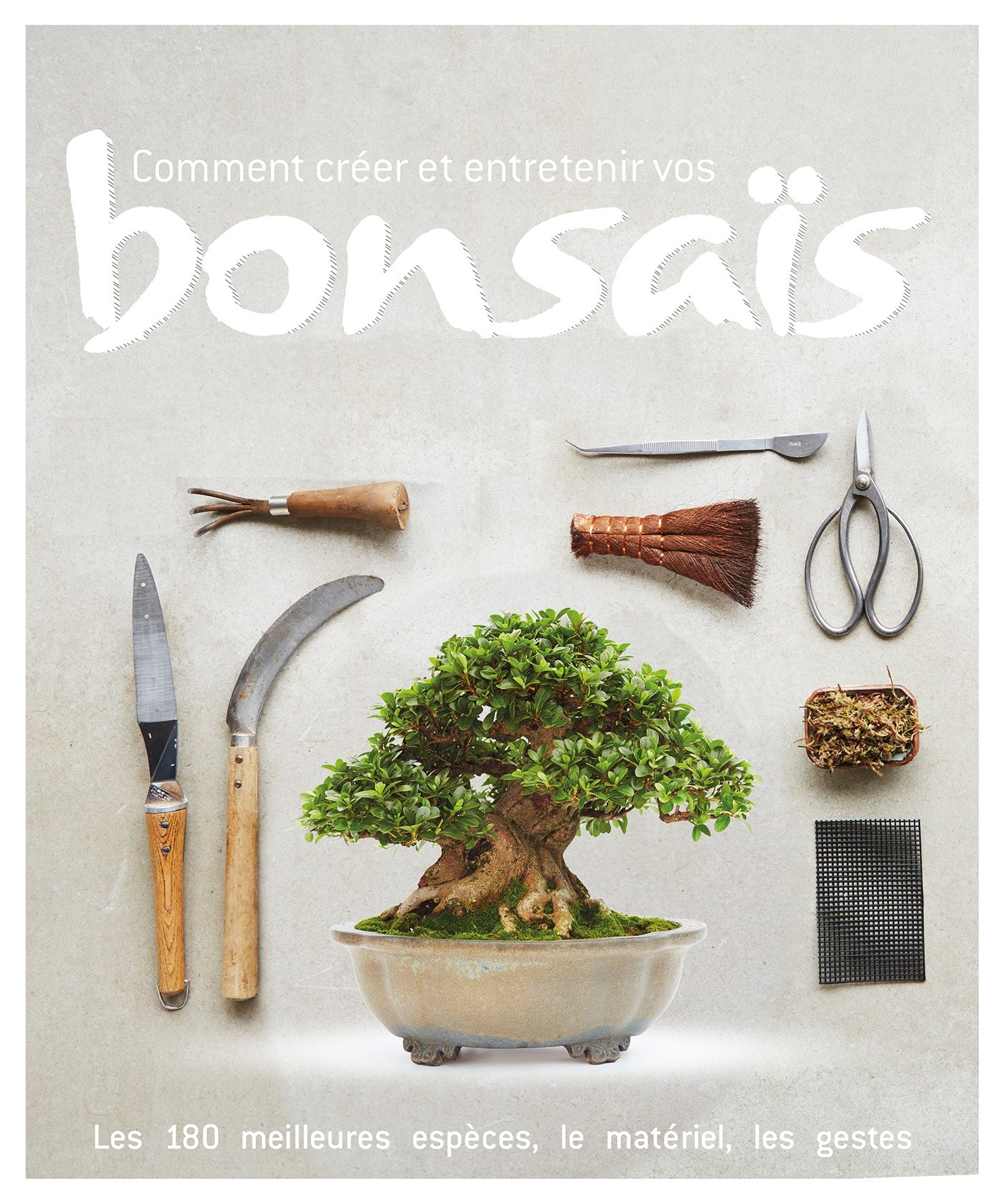 Bonsaï : tous nos conseils d'entretien - Promesse de Fleurs